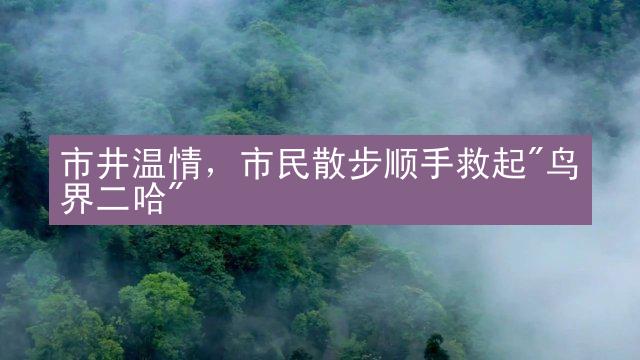 市井温情，市民散步顺手救起"鸟界二哈"