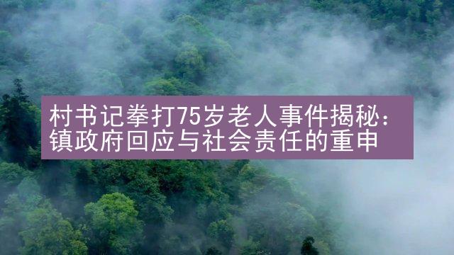 村书记拳打75岁老人事件揭秘：镇政府回应与社会责任的重申