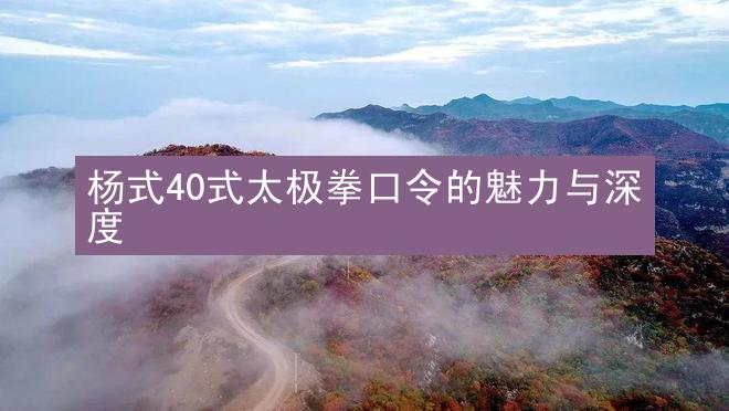 杨式40式太极拳口令的魅力与深度