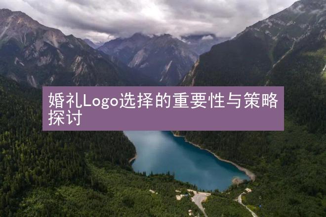 婚礼Logo选择的重要性与策略探讨