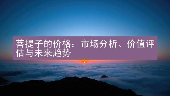 菩提子的价格：市场分析、价值评估与未来趋势