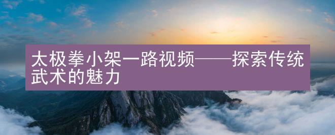 太极拳小架一路视频——探索传统武术的魅力