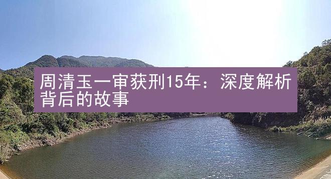 周清玉一审获刑15年：深度解析背后的故事