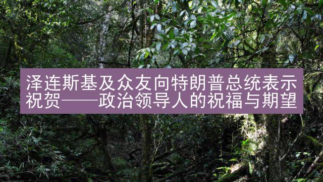 泽连斯基及众友向特朗普总统表示祝贺——政治领导人的祝福与期望