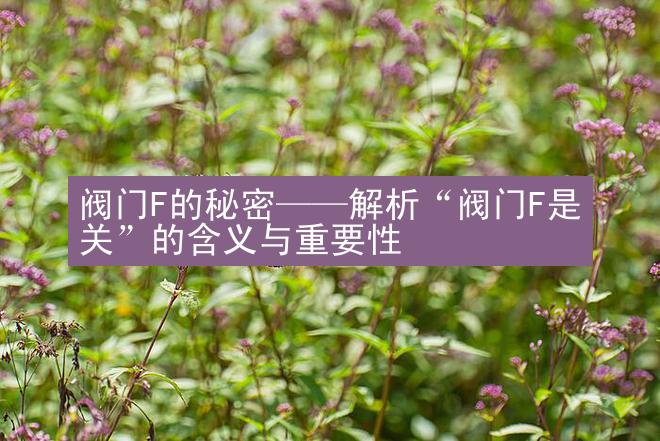 阀门F的秘密——解析“阀门F是关”的含义与重要性