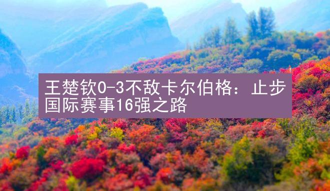 王楚钦0-3不敌卡尔伯格：止步国际赛事16强之路