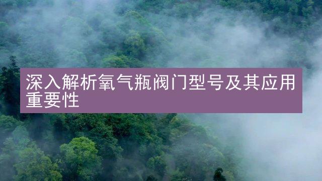 深入解析氧气瓶阀门型号及其应用重要性