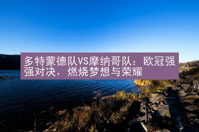 多特蒙德队VS摩纳哥队：欧冠强强对决，燃烧梦想与荣耀