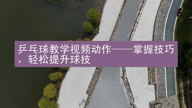 乒乓球教学视频动作——掌握技巧，轻松提升球技