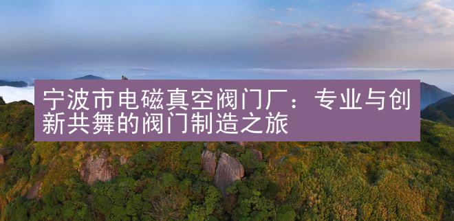 宁波市电磁真空阀门厂：专业与创新共舞的阀门制造之旅