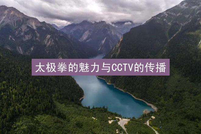 太极拳的魅力与CCTV的传播