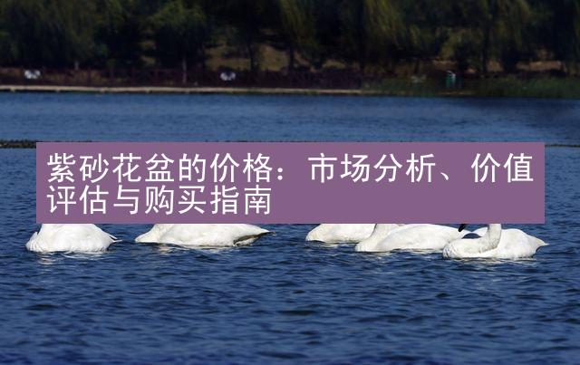 紫砂花盆的价格：市场分析、价值评估与购买指南