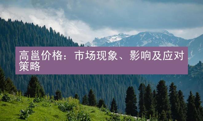 高邕价格：市场现象、影响及应对策略