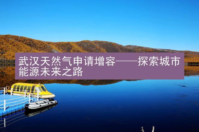 武汉天然气申请增容——探索城市能源未来之路