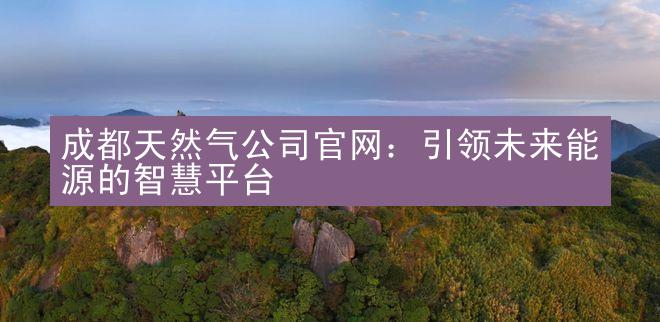 成都天然气公司官网：引领未来能源的智慧平台