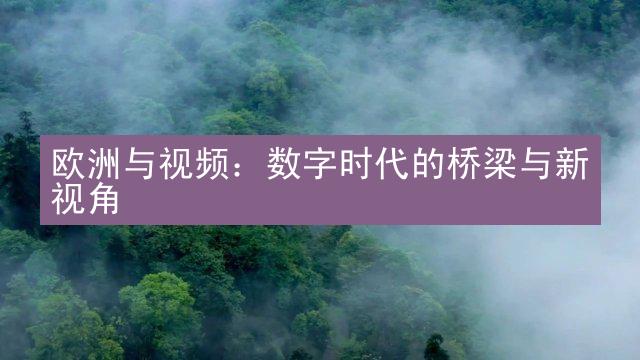 欧洲与视频：数字时代的桥梁与新视角