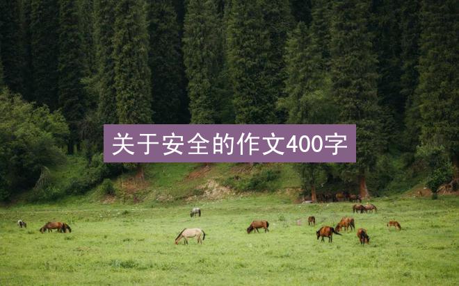 关于安全的作文400字