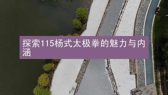 探索115杨式太极拳的魅力与内涵