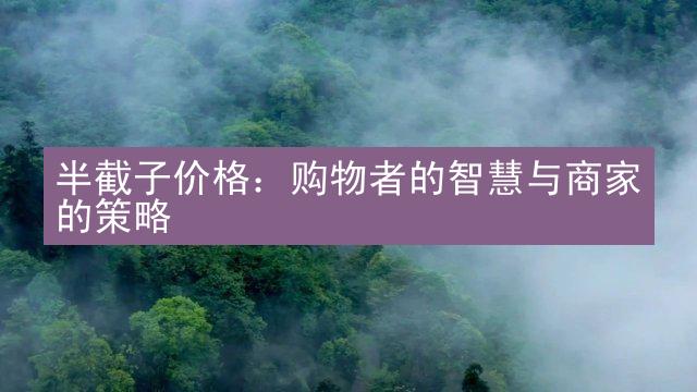 半截子价格：购物者的智慧与商家的策略