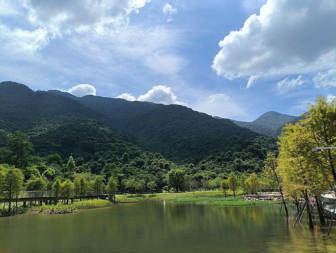 郑钦文遭遇扣分风波：从1300分的起伏看体育竞技中的起伏