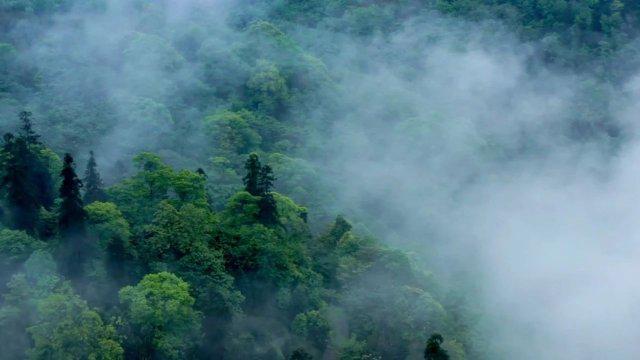 伊朗核基地遭袭后为何未立即反击？深度解析背后的战略考量与挑战